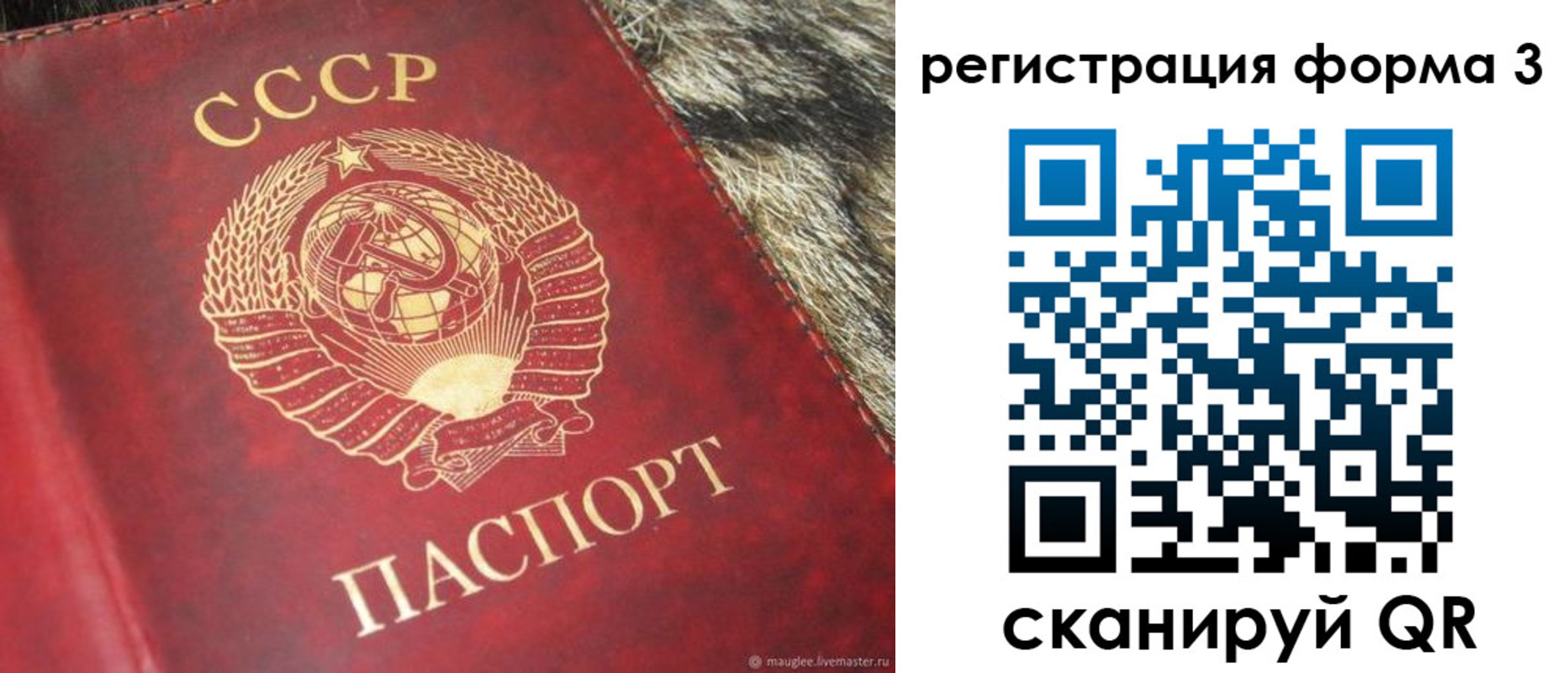 прописка регистрация в Славгороде